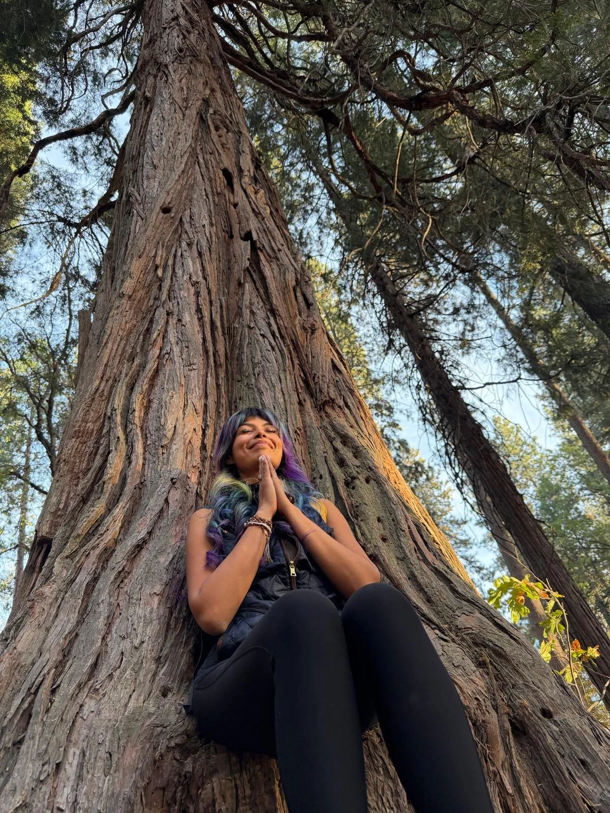 Zineea at the foot of a giant redwood, looking up
